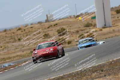 media/May-03-2025-Lucky Dog Racing (Sat) [[206de64b9d]]/Turn 6 (150pm-230pm)/